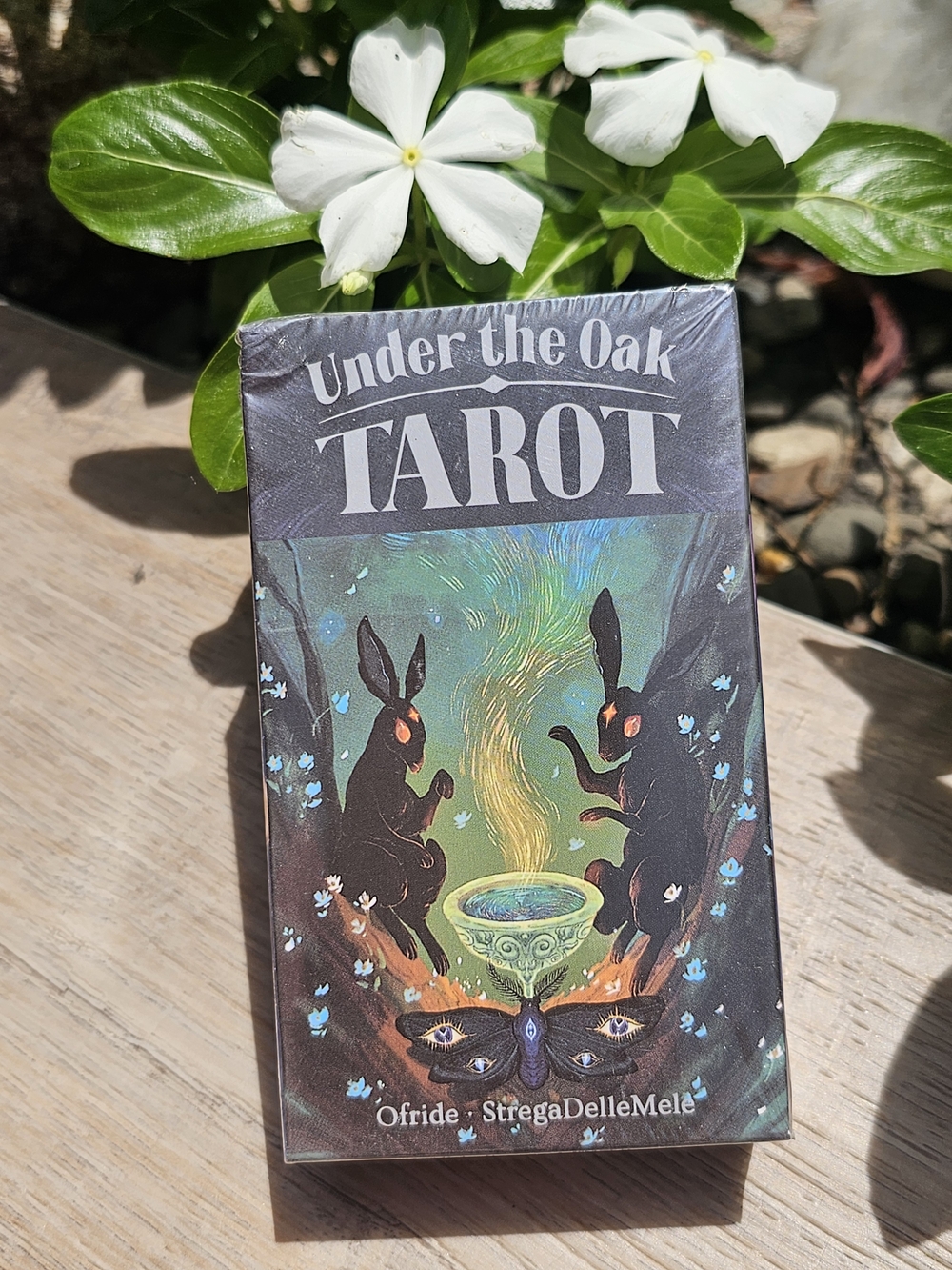 Under the Oak Tarot Deck – Black & Green